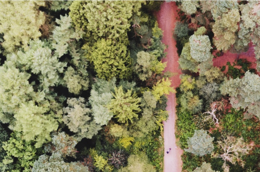 Aplazamiento del EUDR: una oportunidad para hacer las cosas bien (de una vez)